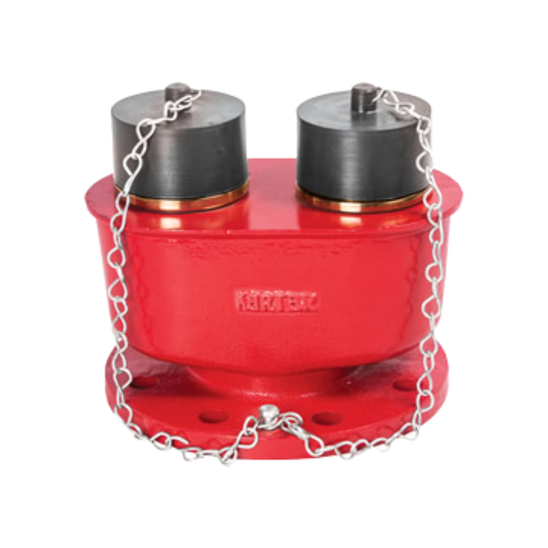 Inlet Connection Two way SS & GM Check Valve